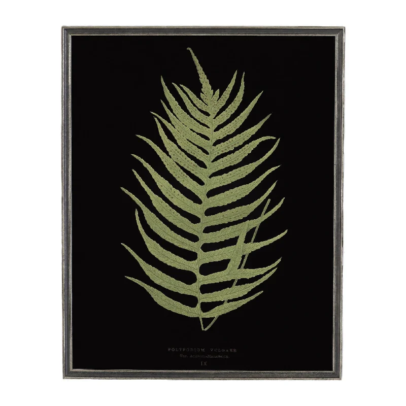 Vintage Fern Wall Art 2