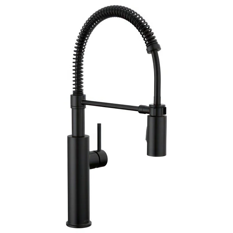 Kitchen Faucet Antoni 1 Lever ADA Matte Black Pull Down Spring