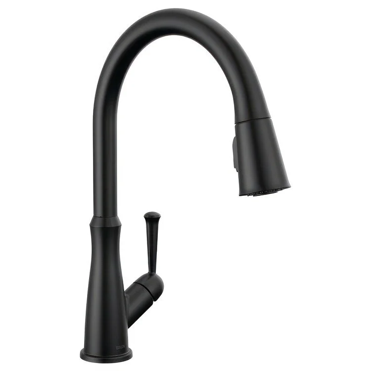 Kitchen Faucet Westville 1 Lever ADA Matte Black High Arc Gooseneck