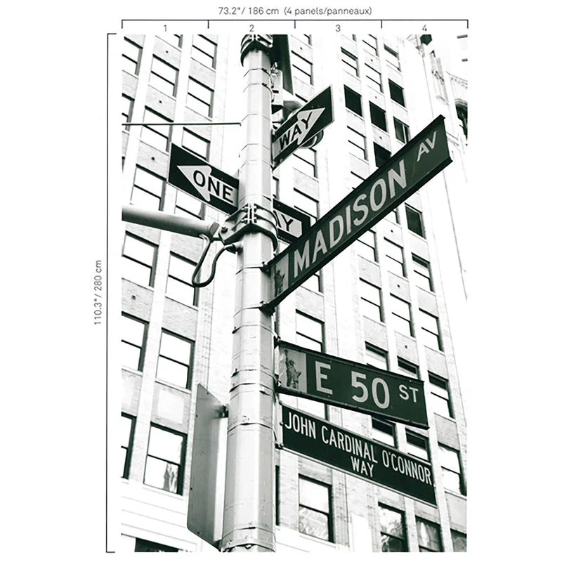 Street Signs Wall Mural in Grey/Black