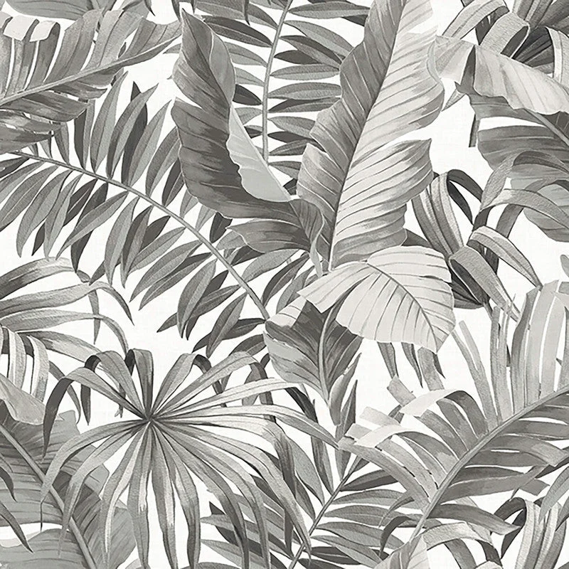 Tropical Leaf Exotic Wallpaper in Black/Grey